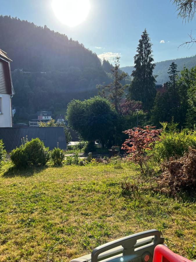 Viva La Wildbad Appartement Bad Wildbad Buitenkant foto