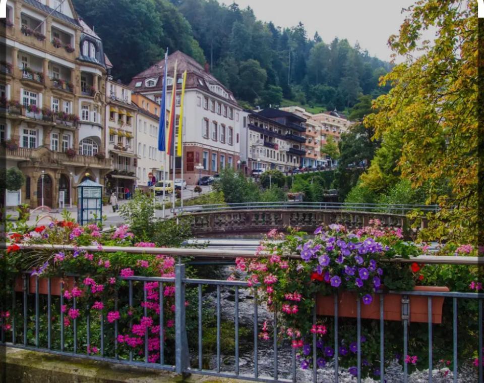 Viva La Wildbad Appartement Bad Wildbad Buitenkant foto