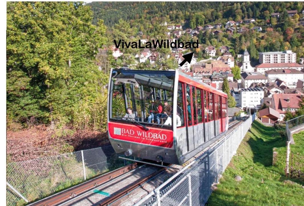 Viva La Wildbad Appartement Bad Wildbad Buitenkant foto